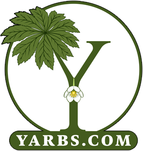 Yarbs Logo